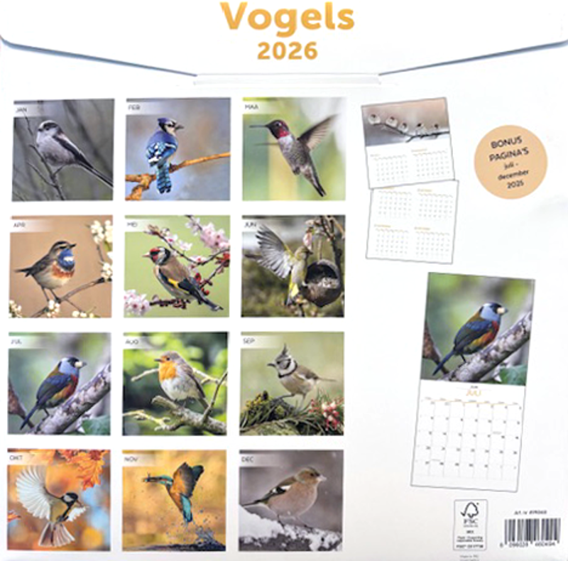 Kalender 2026: Vogels