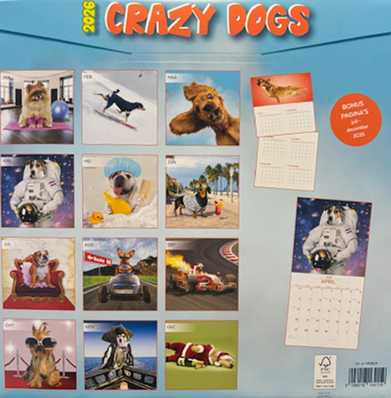 Kalender 2026: Funniest dogs