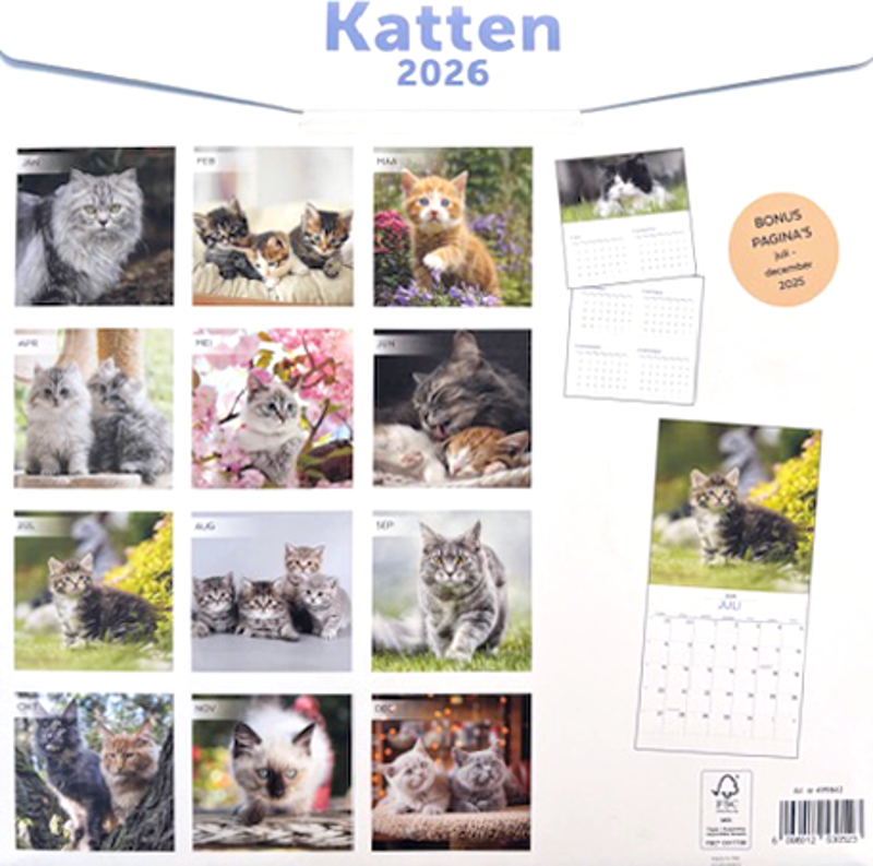 Kalender 2026: Katten