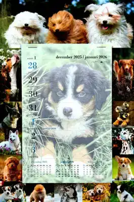 Weekblok kalender 2026 Honden