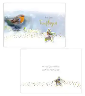 Kerstkaart 2025 vogeltjes met ster