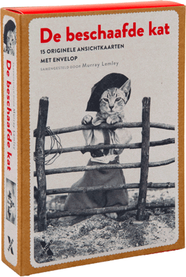 De beschaafde kat (prentbriefkaarten met envelop 15 stuks