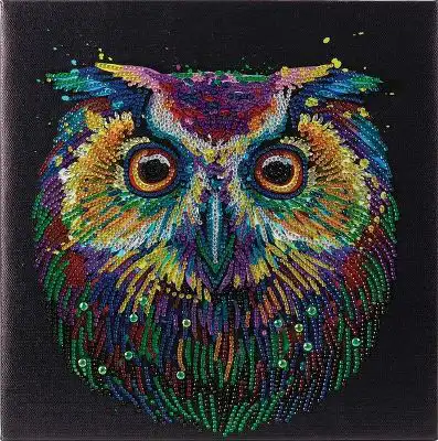 Crystal Art Kit 30x30cm Noctural Wonder Owl Partial