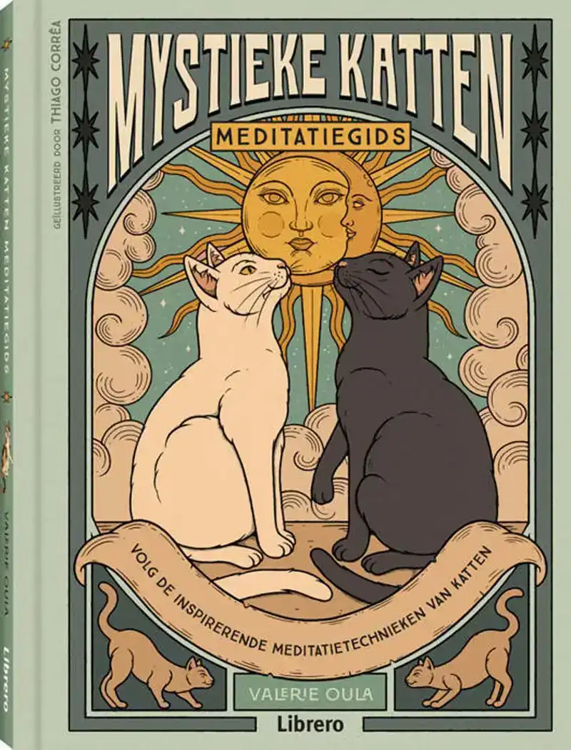 Mystieke katten - meditatiegids