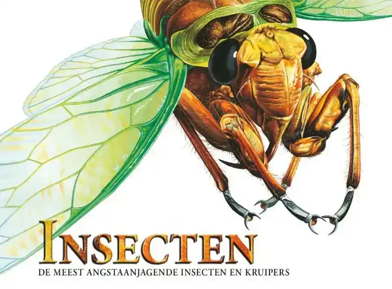 Insecten, de meest angstaanjagende