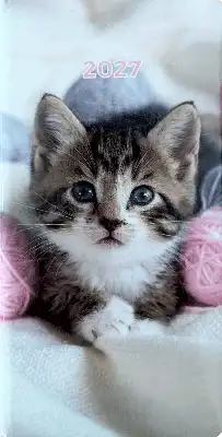 Zakagenda staand 2027 katten
