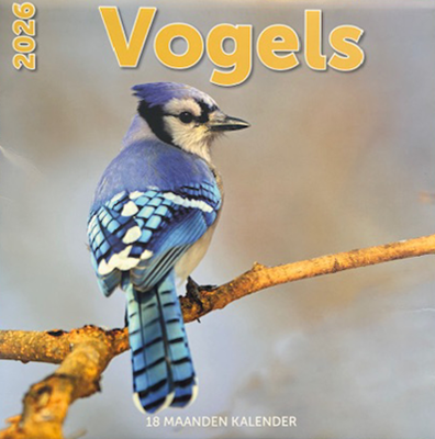 Kalender 2026: Vogels