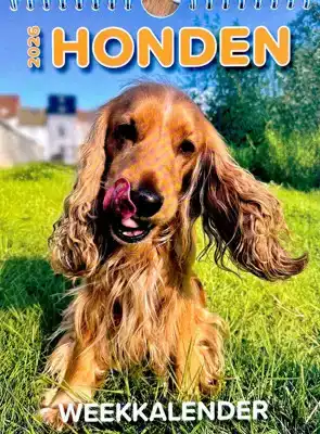 Weekkalender 2026 Honden
