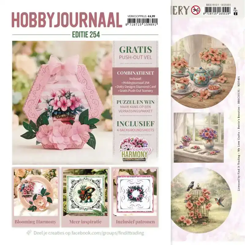 Hobbyjournaal 254