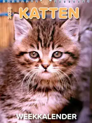 Weekkalender 20256 Katten