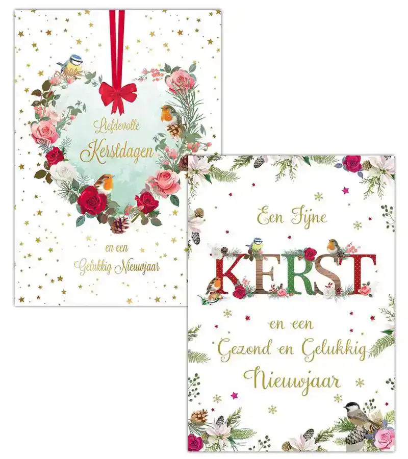 Kerstkaart 2025 fijne kerst takjes en vogels/ kerstdagen hart takken en vogels