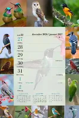 Weekblok vogels 2027