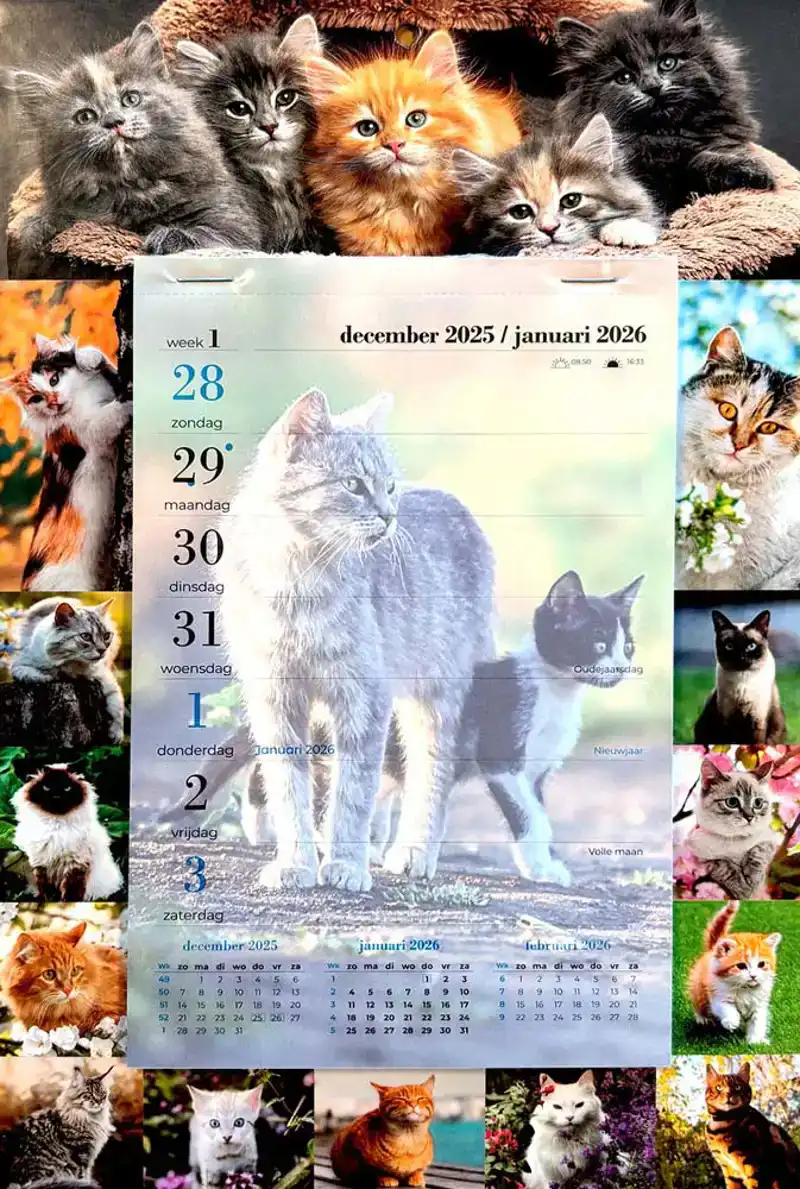 Weekblok kalender 2026 Poezen