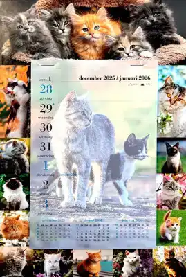 Weekblok kalender 2026 Poezen