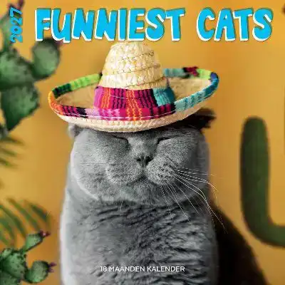 Kalender 2027: funniest cats