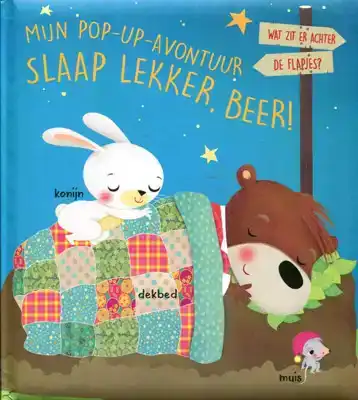 Mijn pop-up avontuur Slaap lekker, Beer