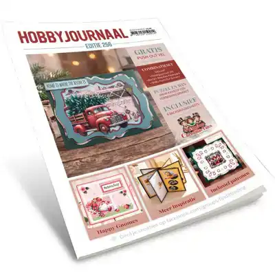 Hobbyjournaal 256