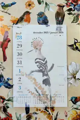 Weekblok kalender 2026 Vogels getekend