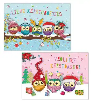 Kerstkaart 2025 uiltjes op een tak