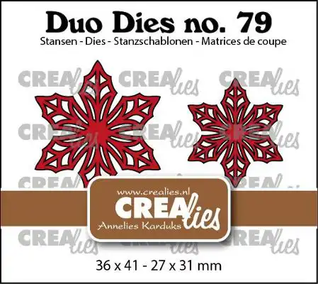 Duo Dies no. 79, Open bloemen 33 Kerstster