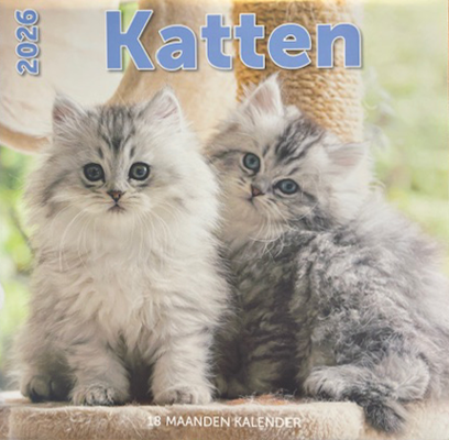 Kalender 2026: Katten