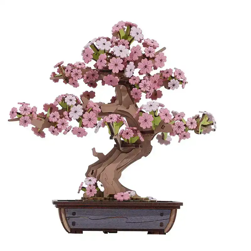 Sakura Bonsai