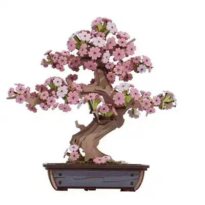 Sakura Bonsai