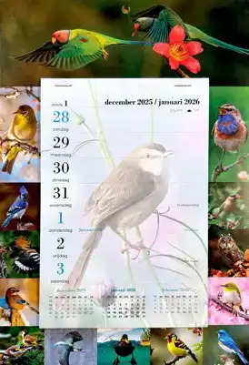 Weekblok kalender 2026 Vogels