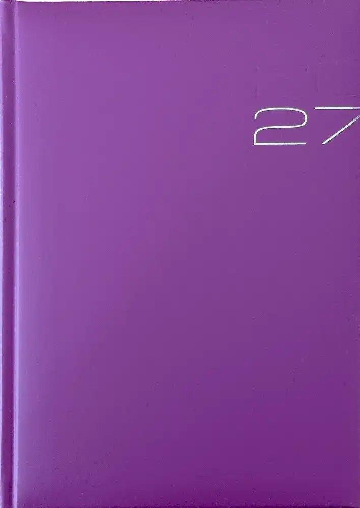 Business timer  2027 roze