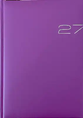 Business timer 2027 roze