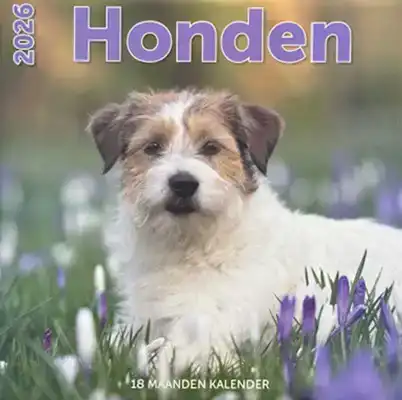 Kalender 2026: Honden