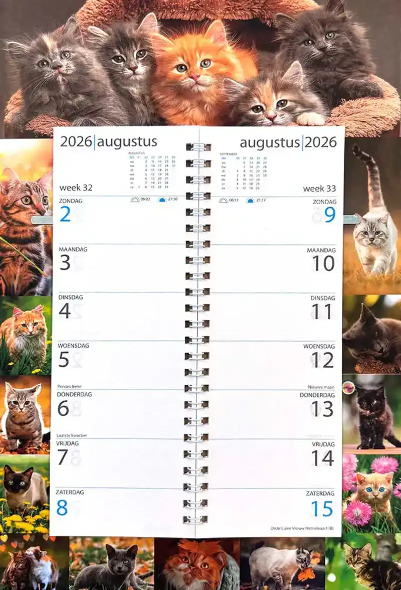 Omleg week kalender 2026 Lovely cats
