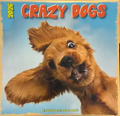 Kalender 2026: Funniest dogs