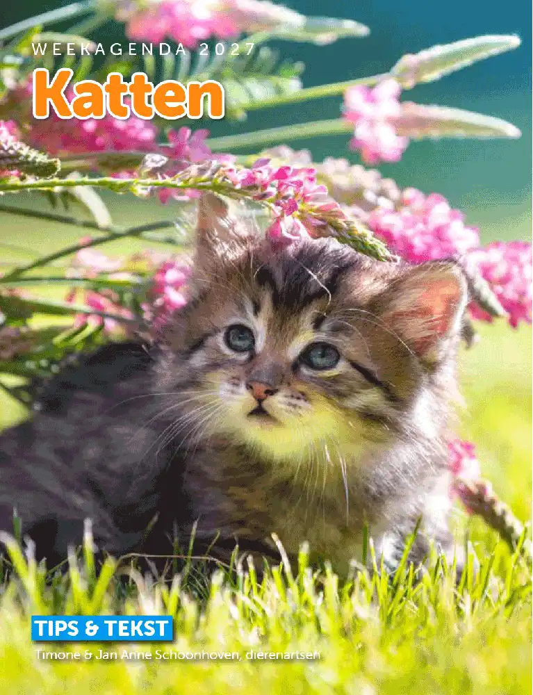 Weekagenda 2027 Katten & Tips