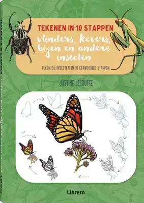 Vlinders, kevers, bijen en andere insecten tekenen in 10 stappen