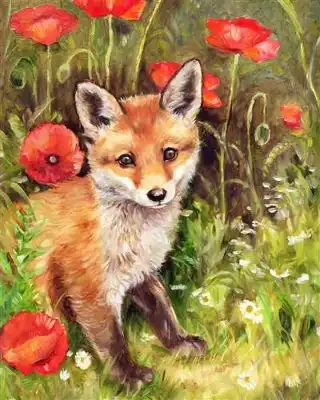 Crystal Art Kit 40x50cm Fox Club in Poppy Field