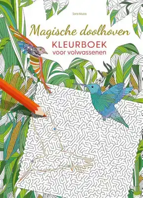 Magische doolhoven - Kleurboek voor volwassenen