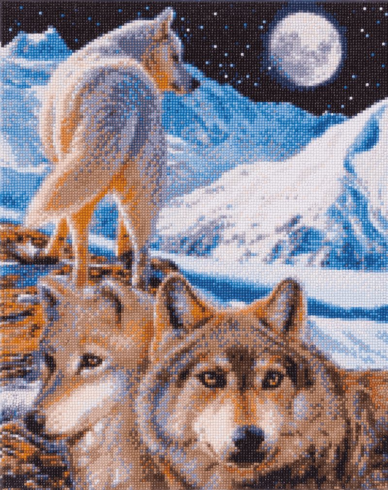 Crystal art kit the sentinell