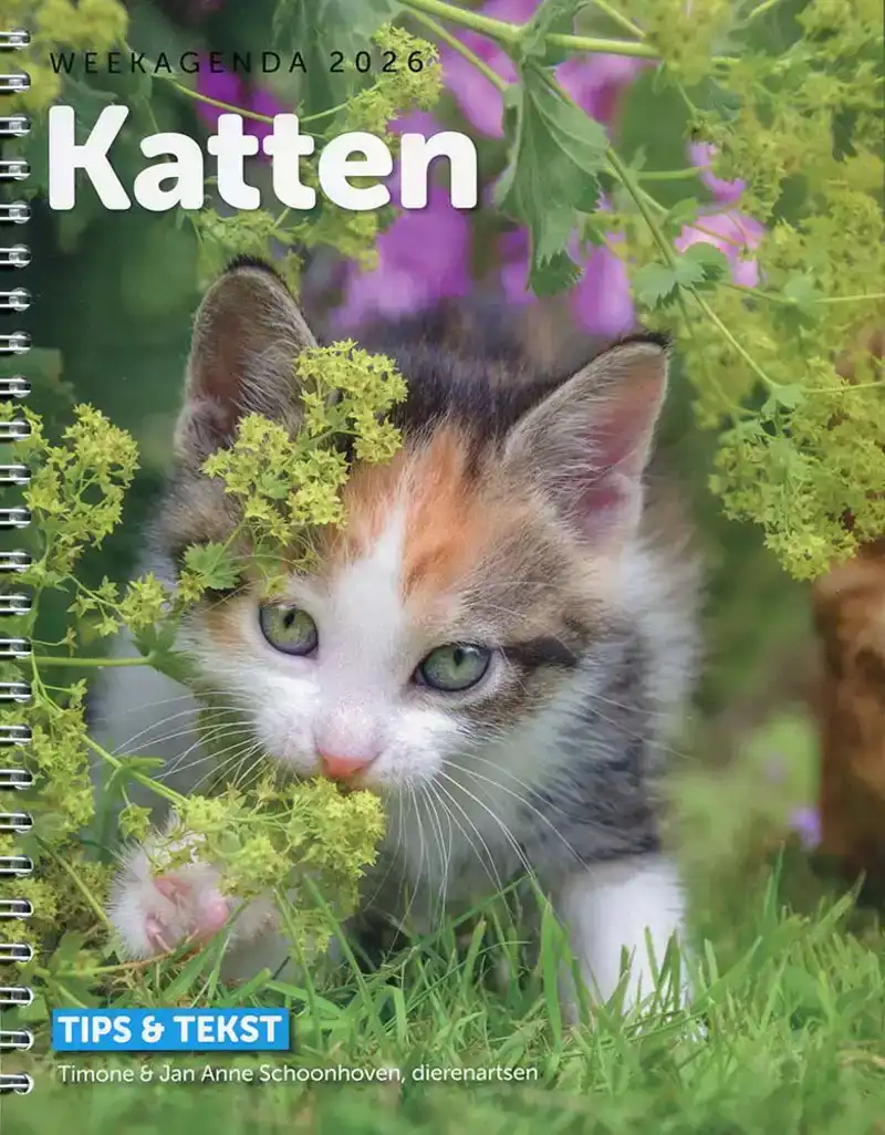 Weekagenda 2026 Katten & Tips