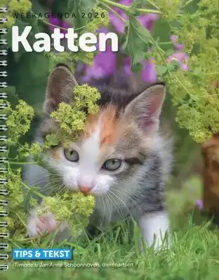 Weekagenda 2026 Katten & Tips