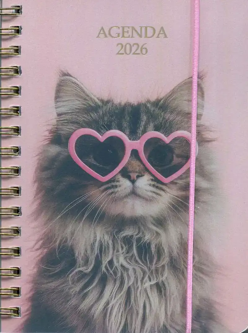 Agenda 2026 A6 spiraal kat met zonnebril