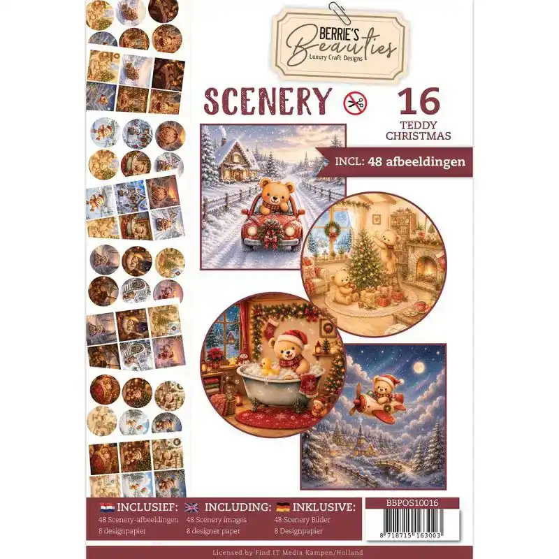 Push-ou book Scenery 16 Teddy