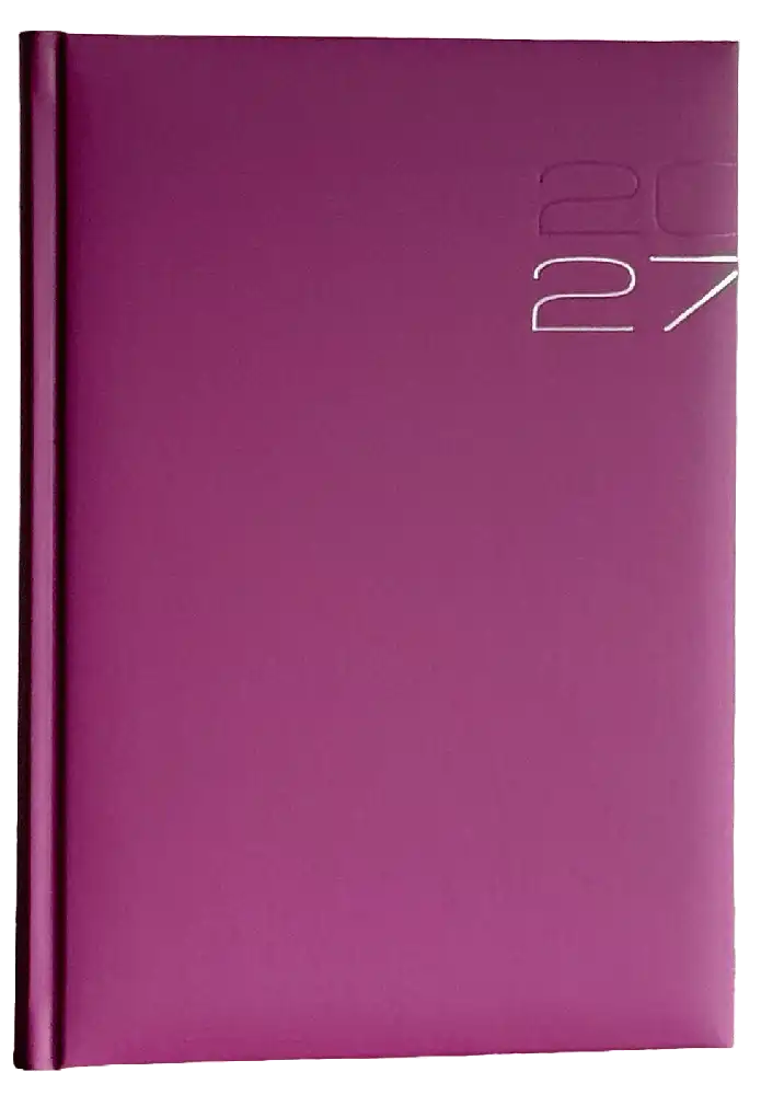 Business timer  2027 roze