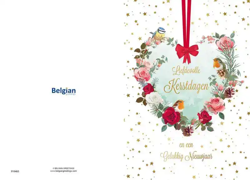 Kerstkaart 2025 fijne kerst takjes en vogels/ kerstdagen hart takken en vogels