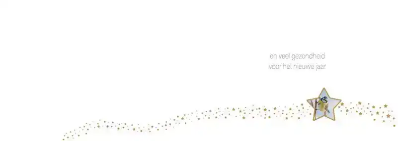 Kerstkaart 2025 vogeltjes met ster