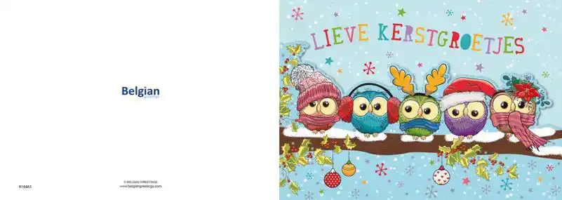 Kerstkaart 2025 uiltjes op een tak