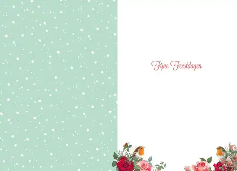 Kerstkaart 2025 fijne kerst takjes en vogels/ kerstdagen hart takken en vogels