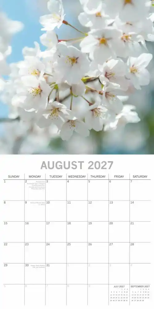 Blossom 2027