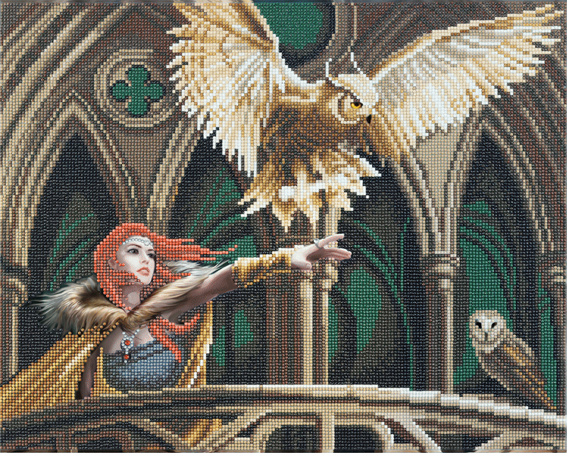 Anne Stokes framed crystal art kit owl messenger.
