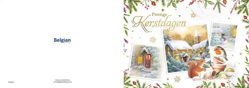 Kerstkaart 2025 3 afbeeldingen diertjes